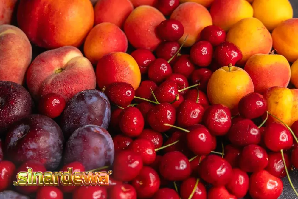 Koleksi slot terbaru dari Amusnet dengan tema buah dan musim panas